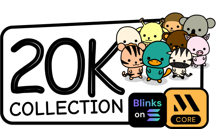 Collection 10K